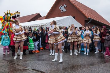 Bild 523 - Latuff 2017